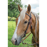 Circle Y Remuda Dark Oil Turquoise Antique Dotted Headstall