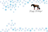 Horse Christmas Card: Newmarket Blanket Christmas Horse