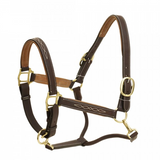 Richland Luxury Padded Leather Halter