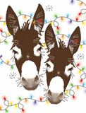 Donkey/Horse Boxed Christmas Cards: Donkeys w/ Lights