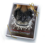 Horse Boxed Christmas Cards: Frosty Muzzle