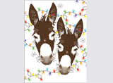 Donkey/Horse Boxed Christmas Cards: Donkeys w/ Lights