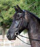 Vivace Equine Cabella Classical Dressage Bridle