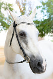 Vivace Equine Cabella Classical Dressage Bridle