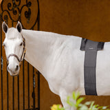 EquiFit Hot/Cold Therapy BackPack