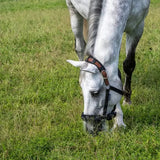 Thinline Flexible Filly Slow Feed Grazing Muzzle
