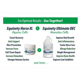 Equinety Horse XL Supplement