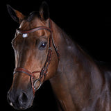 Collegiate Comfitec Training Bridle Havana